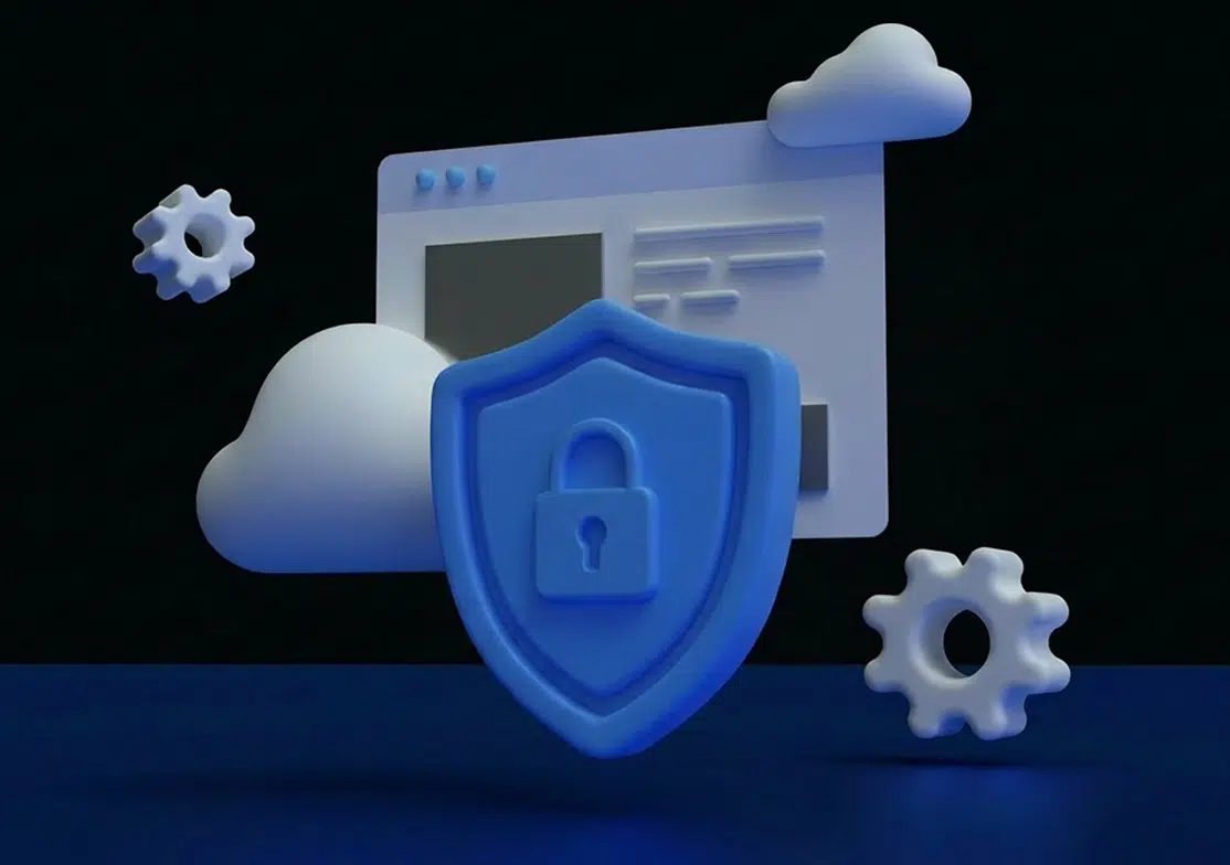 Website Health, Compliance and Risk Review product image